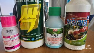 토마토11823님의 기타작물 · 영농일지 작성글 사진