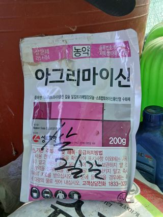 한골머스마님의 배추 · 영농일지 작성글 사진