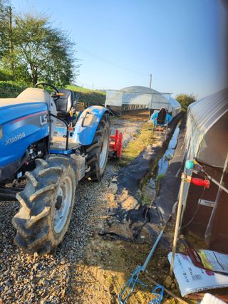 김저팔계님의 파 · 영농일지 작성글 사진