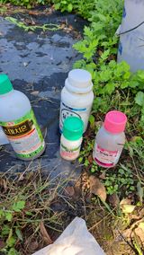 팜모닝 배·영농일지 게시글 이미지