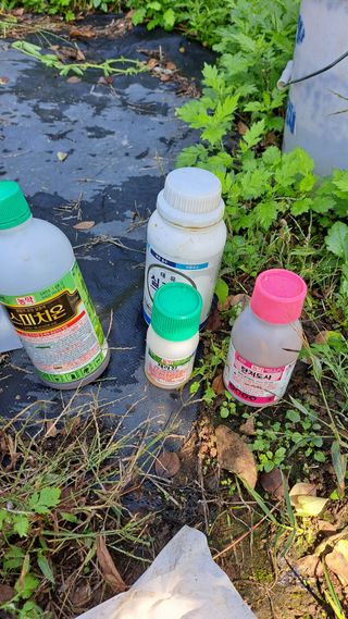 주윤발이님의 배 · 영농일지 작성글 사진