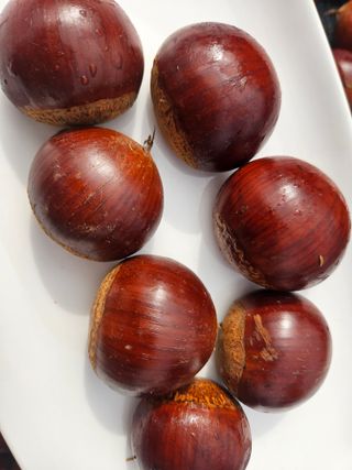 정택희님의 기타작물 · 영농일지 작성글 사진