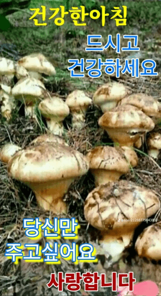 혁이네농원님의 포도 · 영농일지 작성글 사진