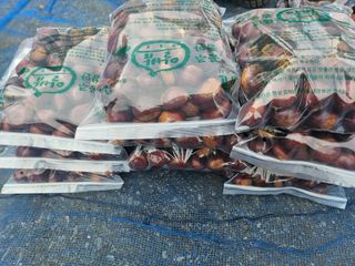 정택희님의 기타작물 · 영농일지 작성글 사진