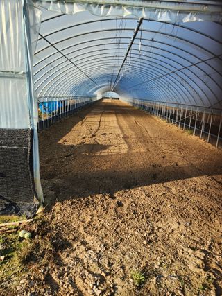 김저팔계님의 파 · 영농일지 작성글 사진