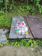 팜모닝 배추·영농일지 게시글 이미지