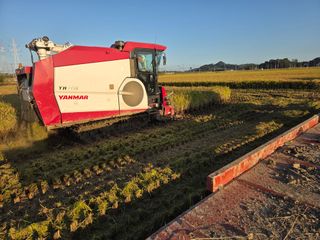 학당님의 벼 · 영농일지 작성글 사진