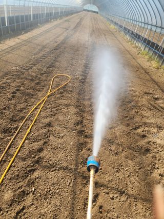 김저팔계님의 파 · 영농일지 작성글 사진