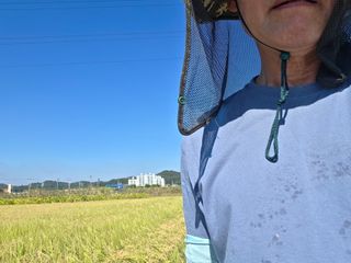 학당님의 벼 · 영농일지 작성글 사진