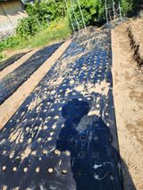 팜모닝 마늘·영농일지 게시글 이미지