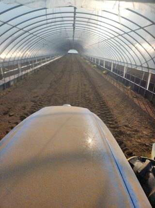 김저팔계님의 파 · 영농일지 작성글 사진