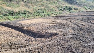 김홍중님의 기타작물 · 영농일지 작성글 사진