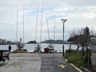 백형석님의 포도 · 영농일지 작성글 사진