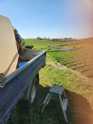 김저팔계님의 파 · 영농일지 작성글 사진