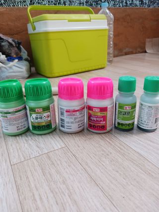 혁이네농원님의 포도 · 영농일지 작성글 사진