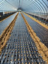 팜모닝 파·영농일지 게시글 이미지