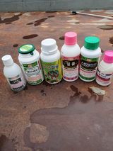 팜모닝 기타작물·영농일지 게시글 이미지