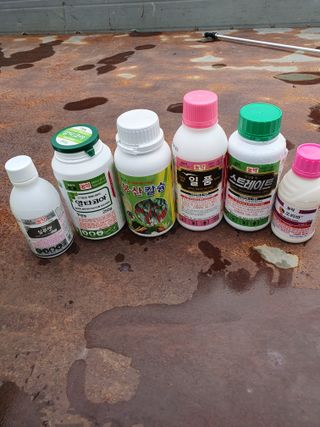 남기탁 님의 기타작물 · 영농일지 작성글 사진