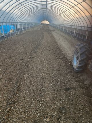 김저팔계님의 파 · 영농일지 작성글 사진