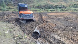 김홍중님의 기타작물 · 영농일지 작성글 사진