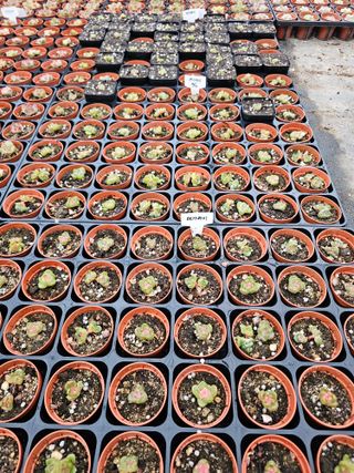 신상섭님의 기타작물 · 영농일지 작성글 사진