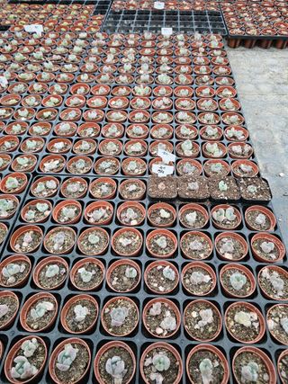 신상섭님의 기타작물 · 영농일지 작성글 사진