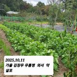 팜모닝 배추·영농일지 게시글 이미지