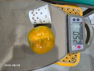 주하네팜(태추,부유님의 감 · 영농일지 작성글 사진