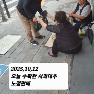 시민농장님의 기타작물 · 영농일지 작성글 사진