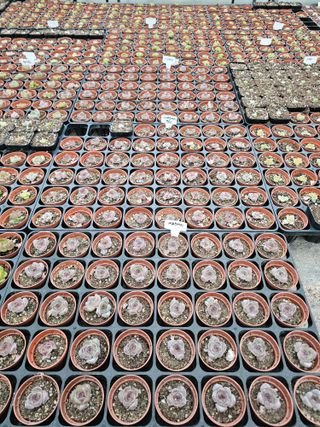 신상섭님의 기타작물 · 영농일지 작성글 사진