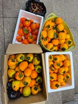 팜모닝 기타작물·영농일지 게시글 이미지