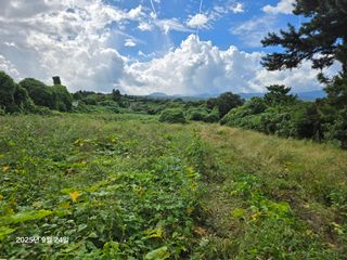 Captain김상곤님의 호박 · 영농일지 작성글 사진