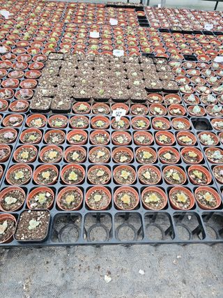 신상섭님의 기타작물 · 영농일지 작성글 사진