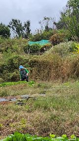 팜모닝 기타작물·영농일지 게시글 이미지