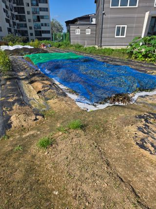 병섭님의 들깨 · 영농일지 작성글 사진