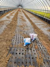 팜모닝 파·영농일지 게시글 이미지