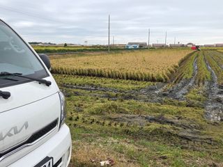 학당님의 벼 · 영농일지 작성글 사진