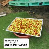 팜모닝 기타작물·영농일지 게시글 이미지