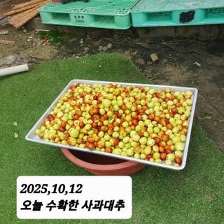 시민농장님의 기타작물 · 영농일지 작성글 사진