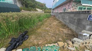 김영한님의 마늘 · 영농일지 작성글 사진