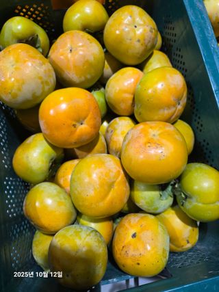 주하네팜(태추,부유님의 감 · 영농일지 작성글 사진