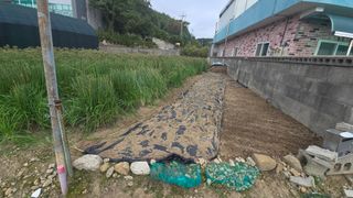 김영한님의 마늘 · 영농일지 작성글 사진