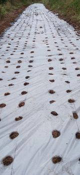 팜모닝 기타작물·영농일지 게시글 이미지