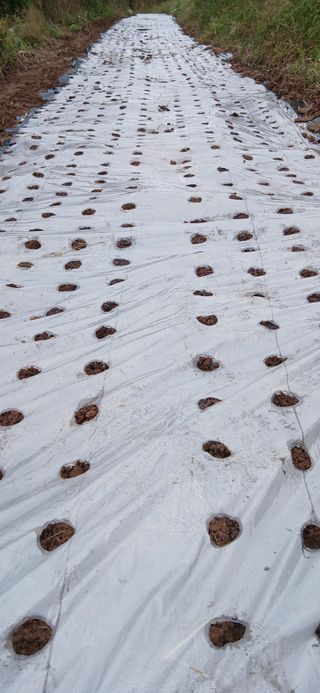 정연섭님의 기타작물 · 영농일지 작성글 사진