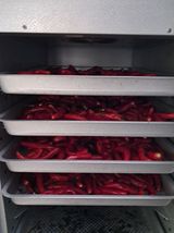 팜모닝 기타작물·영농일지 게시글 이미지