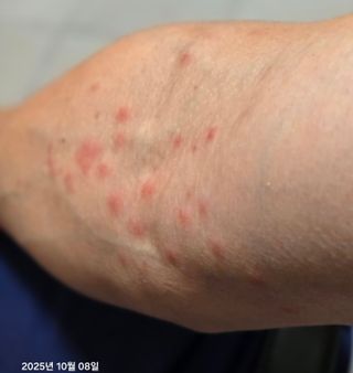 Captain김상곤님의 호박 · 영농일지 작성글 사진