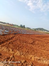 팜모닝 파·영농일지 게시글 이미지