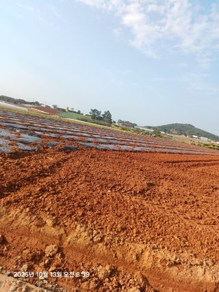 승기님의 파 · 영농일지 작성글 사진