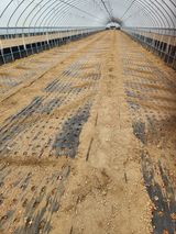 팜모닝 파·영농일지 게시글 이미지