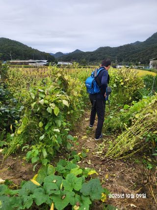 강정아님의 들깨 · 영농일지 작성글 사진